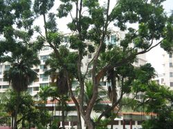Orchid Park Condominium (D27), Condominium #630614451